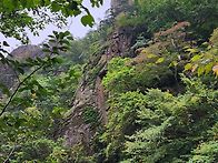 설악산 흘림골,주전골 트레..