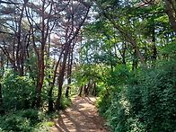 설악산에서