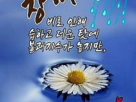 칠월의 숲