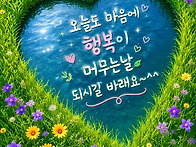 민들레 인생