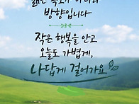 나비