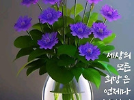개미의 왕국