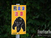 '충격' 곰 습격받아 사망→..