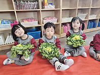 🌿 퍼포먼스 미..