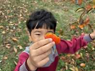🍅달콤~향긋~..