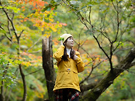 명성산 - 짱가님