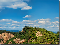 2025.6.14 관악산 산행 ..