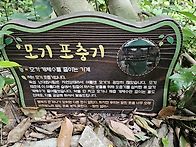 6월산행3