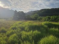 2026 문화재 풀베기(6/..