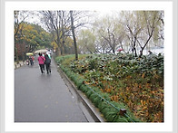 스크랩 [스크랩] 웃음의 ..