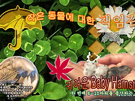 오늘수업