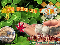 0901수업