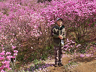 위성귀