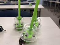 260502 선도문화활동 '힐..