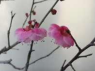 잘가요~천지인 형님~~