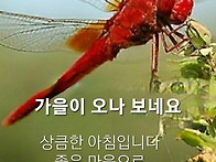 #희망의메세지 2026년8월..