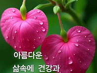 #희망의메세지 2026년 8..