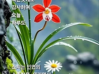 희망의메세지 2025년5월3..