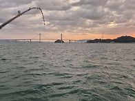 완도 주꾸미 선상낚시