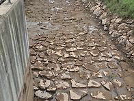춘동저수지 촉법 배스