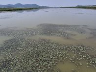 영암 학산천 런커
