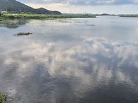학산천하류 배스