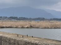 서호 학산천 배스