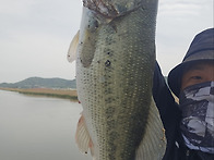 학 산 천 런커 OR 런커 급..