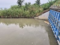 서호 태백리수문 배스