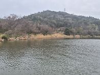 학산 매월리 배스