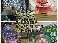 강북구 성북구 도봉구 노원구 꽃풍선 커스텀..