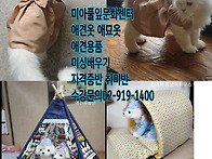 평생교육바우처 사용기관 평생교육사실습기..