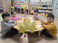 🍁나..