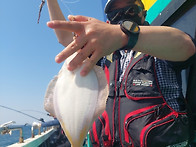 25일구룡포웨이브호도다리..