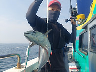 31일포항구룡포웨이브호미..