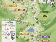 7월19일(인재/자작나무숲길..