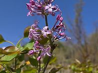 2026년 4월 19일 출석부