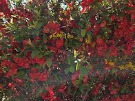 2026년 4월 20일 출석부