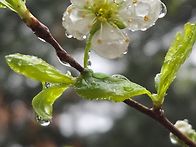 2026년 4월 18일 출석부