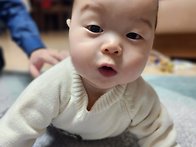 2025년4월 표민우 포항에^..