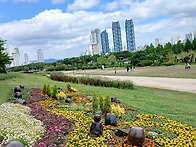 태화강국가정원