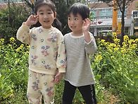어린이집에 핀 유채꽃&잔디..