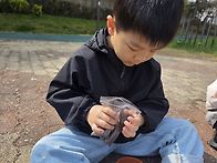 토마토 씨앗심기