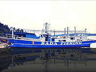 11/29일 우도권 조황입니다