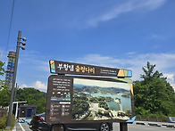 정기산행
