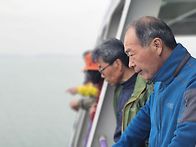 수선화 천국