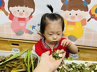 6월 18일-단오행사