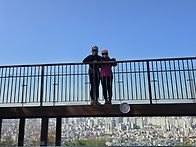 11월 19일 수요일 왕숙천 ..