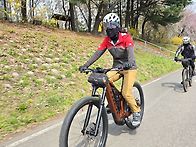 4월 3일 금요일 탄천따라 ..