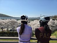 4월 8일 수요일 고기리 다..